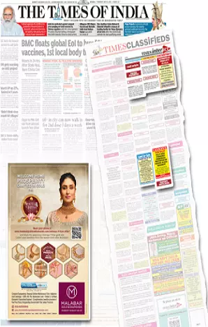 Dainik Vishwamitra tearsheet proof